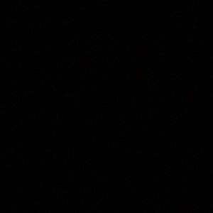 Meet your Posher, Daymon